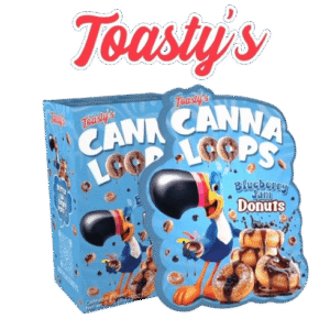 Blueberry Jam Donuts