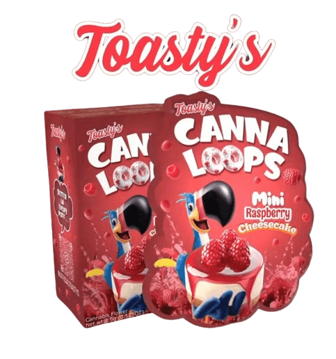 Mini Raspberry Cheesecake